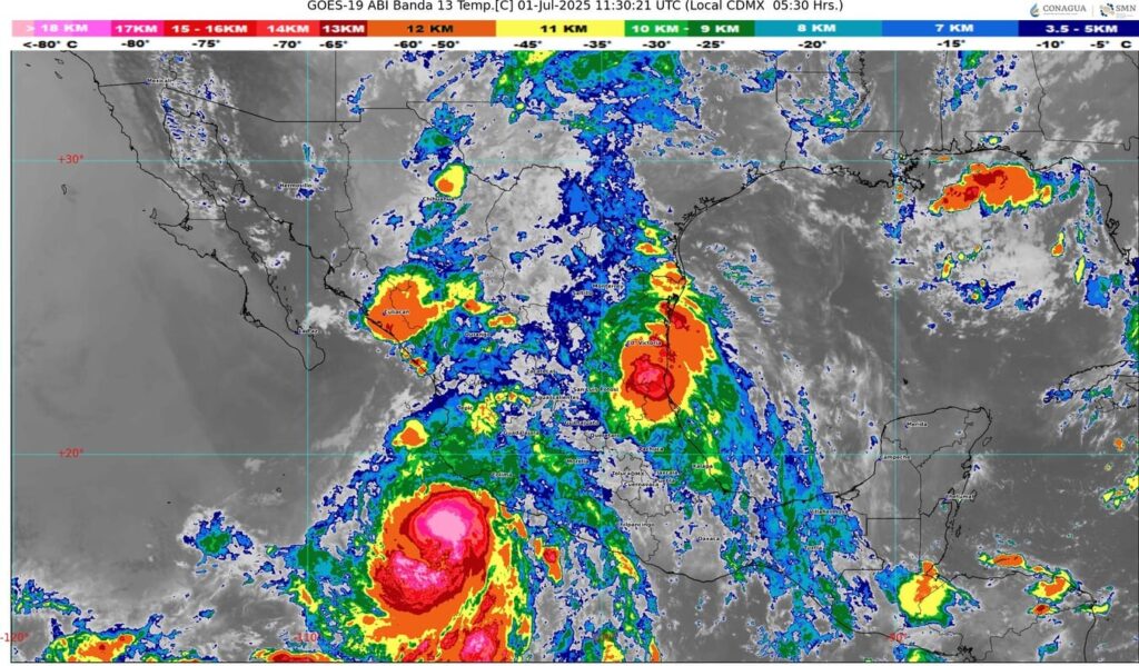 WhatsApp Image 2025-07-01 at 07.21.56