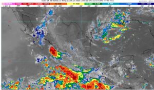 WhatsApp Image 2025-07-30 at 09.25.14