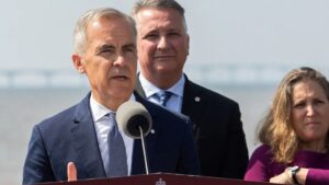 WhatsApp Image 2025-07-31 at 08.05.47