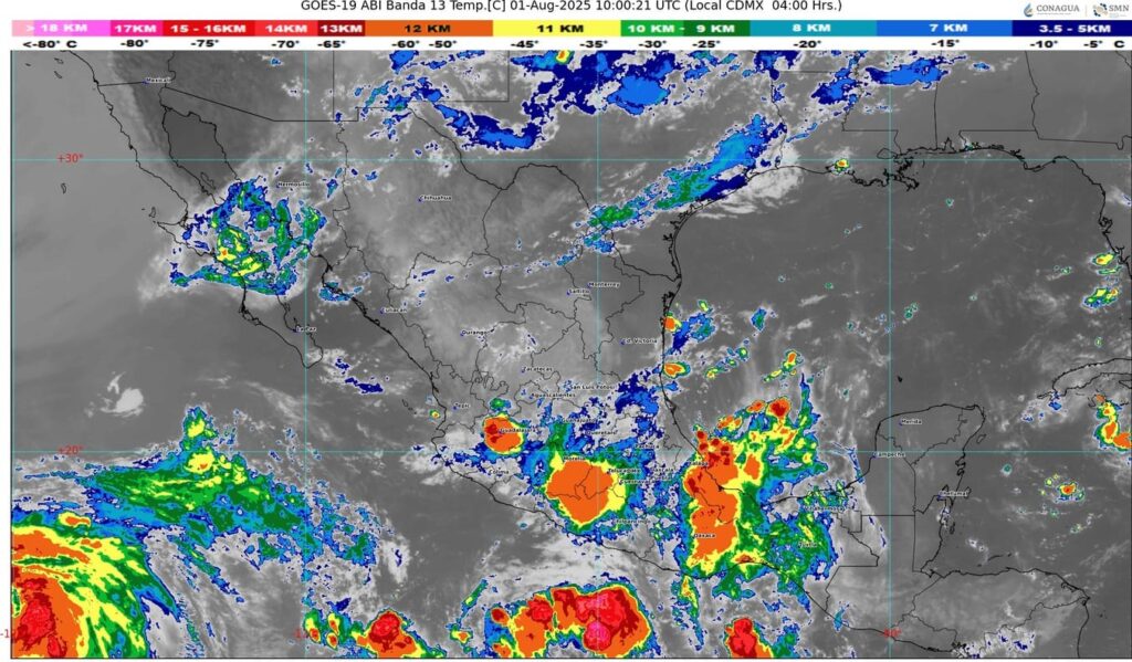 WhatsApp Image 2025-08-01 at 07.31.35