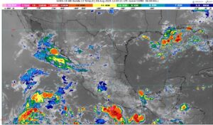 WhatsApp Image 2025-08-03 at 08.20.22