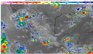 WhatsApp Image 2025-08-04 at 07.32.50