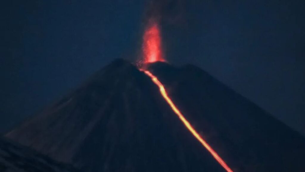 WhatsApp Image 2025-08-05 at 08.47.06