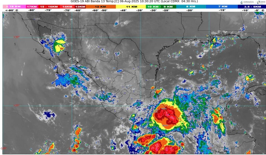 WhatsApp Image 2025-08-06 at 07.38.51