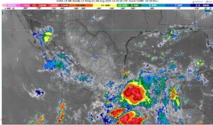 WhatsApp Image 2025-08-06 at 07.38.51