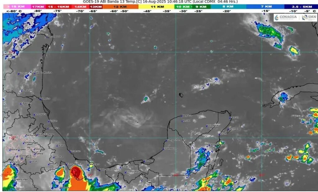 WhatsApp Image 2025-08-16 at 08.15.23