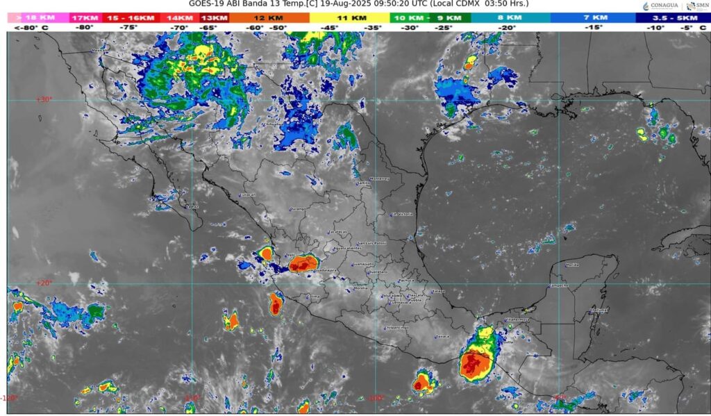 WhatsApp Image 2025-08-19 at 07.42.50