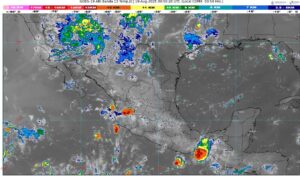 WhatsApp Image 2025-08-19 at 07.42.50