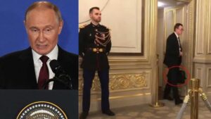 WhatsApp Image 2025-08-20 at 11.56.17