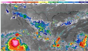 WhatsApp Image 2025-08-25 at 08.01.50