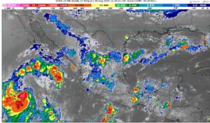 WhatsApp Image 2025-08-26 at 07.41.54