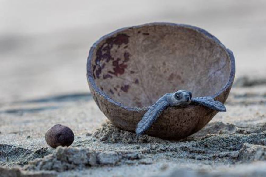 WhatsApp Image 2025-08-27 at 10.27.09