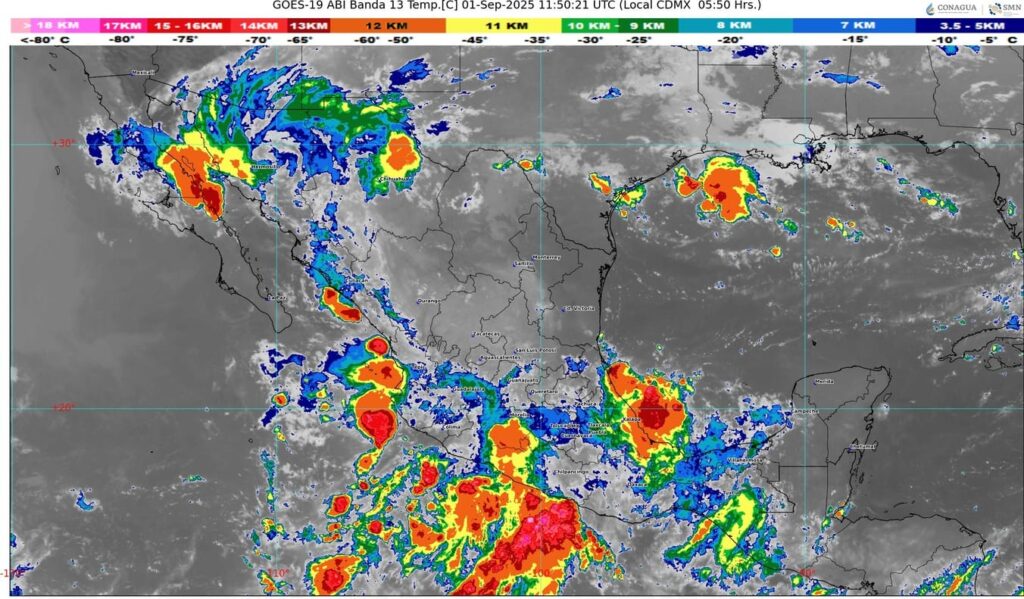 WhatsApp Image 2025-09-01 at 07.15.34