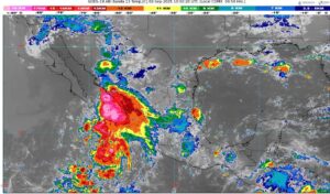 WhatsApp Image 2025-09-02 at 08.04.48