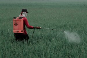 WhatsApp Image 2025-09-03 at 10.54.32