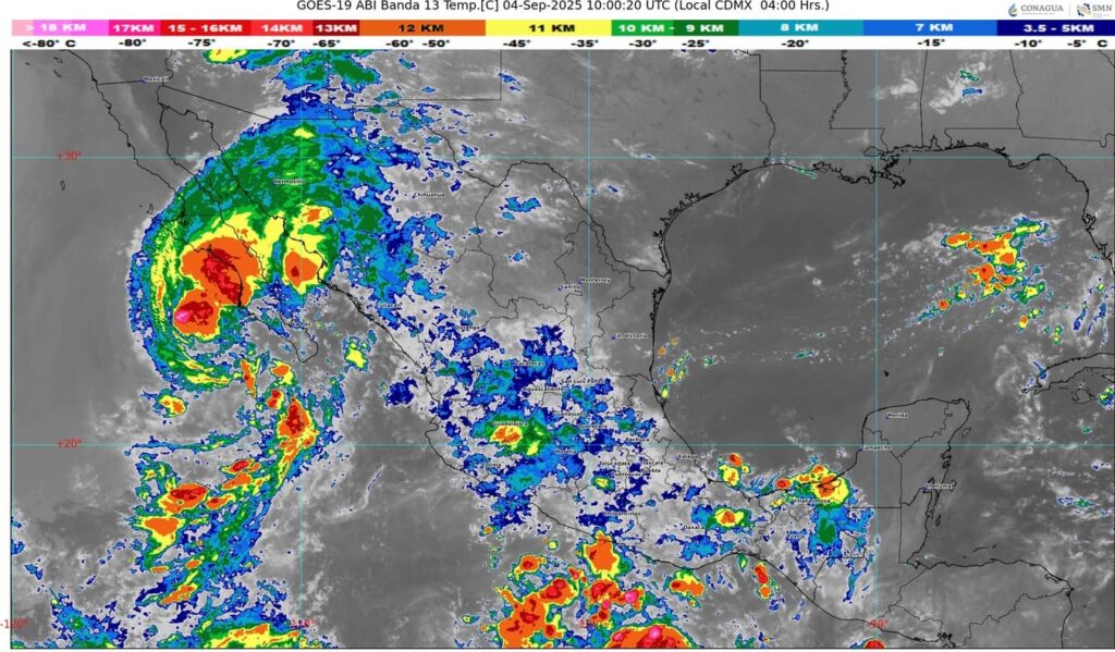 WhatsApp Image 2025-09-04 at 07.19.35