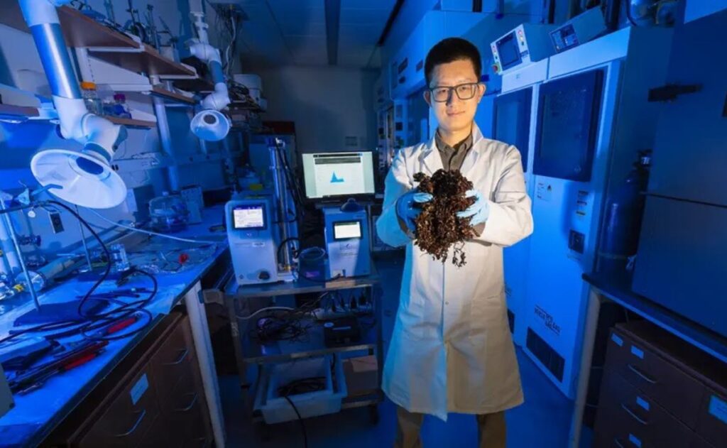 WhatsApp Image 2025-09-05 at 09.20.52