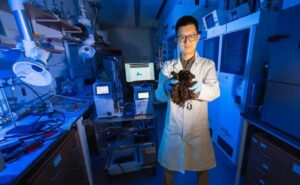 WhatsApp Image 2025-09-05 at 09.20.52