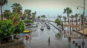 WhatsApp Image 2025-09-08 at 12.11.26