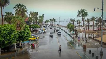 WhatsApp Image 2025-09-08 at 12.11.26