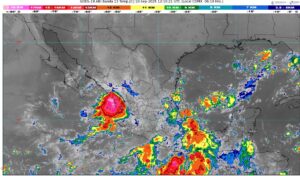 WhatsApp Image 2025-09-10 at 07.38.16