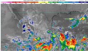 WhatsApp Image 2025-09-11 at 07.37.47