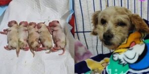 WhatsApp Image 2025-09-12 at 10.37.51