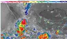 WhatsApp Image 2025-09-13 at 08.47.08