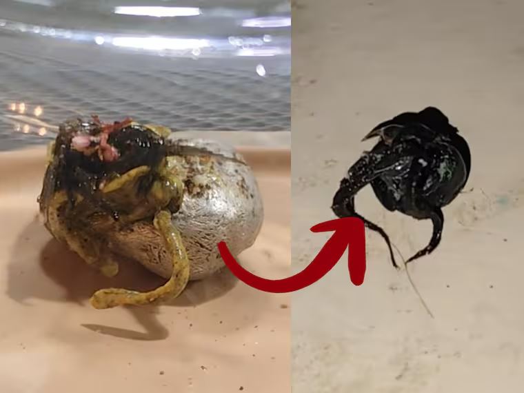 WhatsApp Image 2025-09-19 at 13.08.37