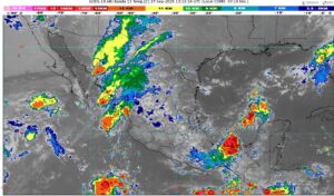 WhatsApp Image 2025-09-27 at 08.40.09