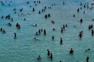 WhatsApp Image 2025-09-30 at 10.56.36