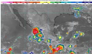 WhatsApp Image 2025-10-01 at 07.52.16