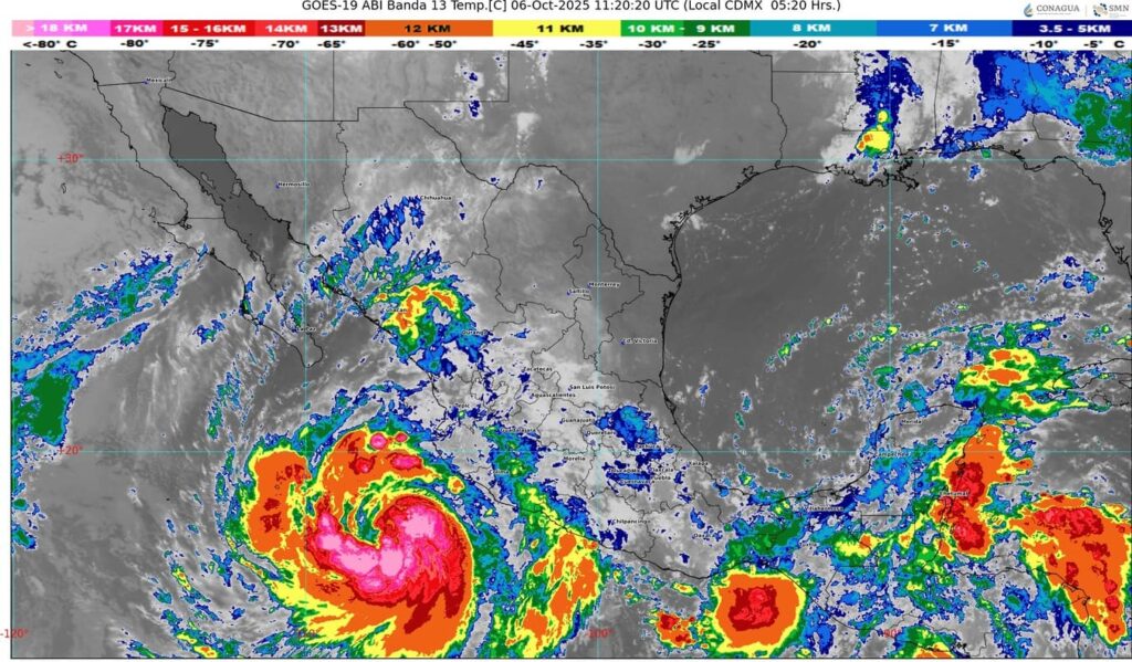 WhatsApp Image 2025-10-06 at 07.48.02