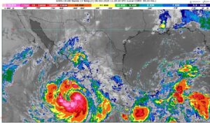 WhatsApp Image 2025-10-06 at 07.48.02