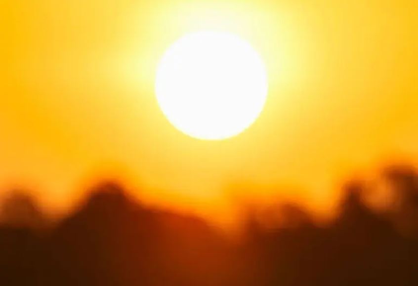 WhatsApp Image 2025-10-09 at 10.30.58