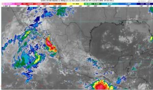 WhatsApp Image 2025-10-11 at 09.21.11