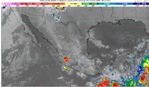 WhatsApp Image 2025-10-14 at 08.01.00