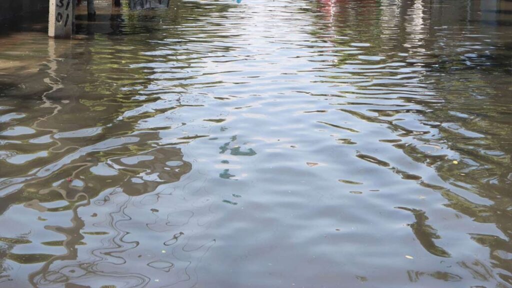 WhatsApp Image 2025-10-14 at 08.54.04