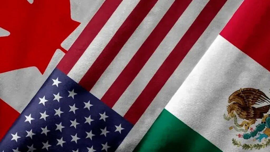 WhatsApp Image 2025-10-17 at 08.15.38