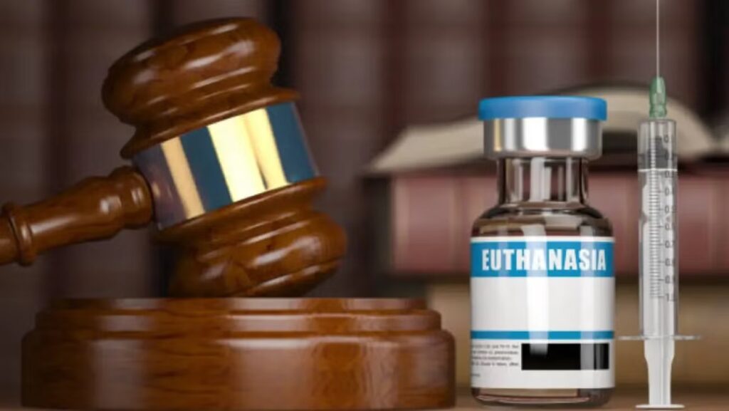 WhatsApp Image 2025-10-17 at 09.19.50