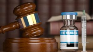 WhatsApp Image 2025-10-17 at 09.19.50