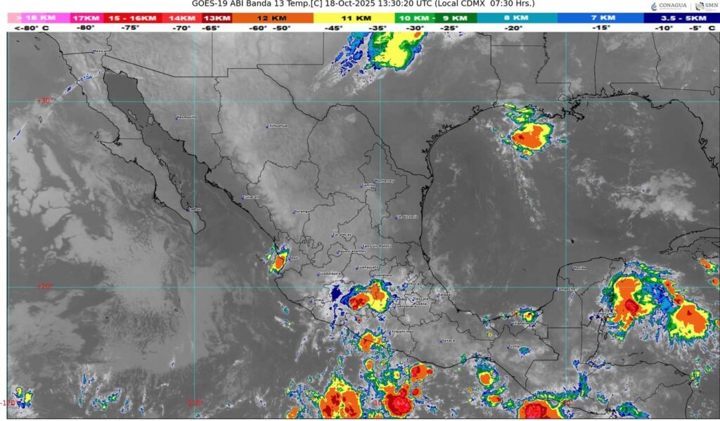 WhatsApp Image 2025-10-18 at 09.01.56