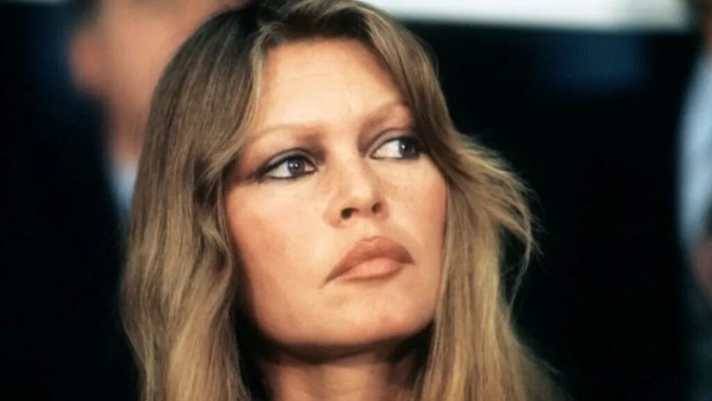 WhatsApp Image 2025-10-18 at 20.44.52