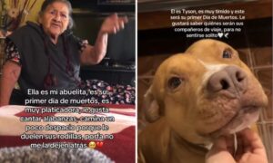 WhatsApp Image 2025-10-18 at 20.45.00