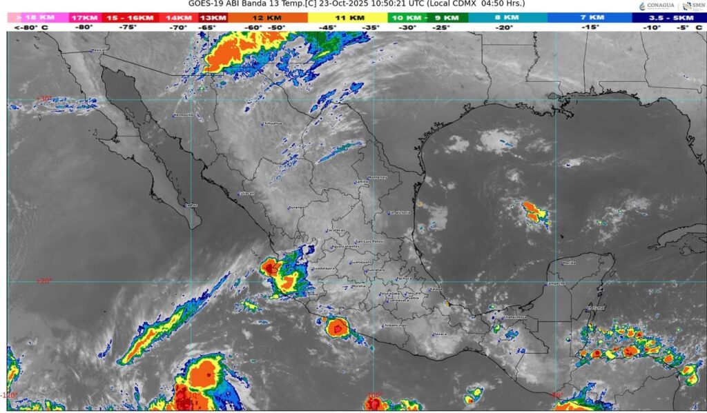 WhatsApp Image 2025-10-23 at 08.19.08