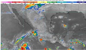 WhatsApp Image 2025-10-23 at 08.19.08