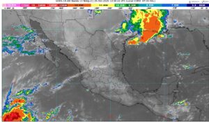 WhatsApp Image 2025-10-25 at 09.03.13