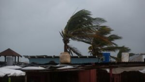 WhatsApp Image 2025-10-27 at 08.42.37