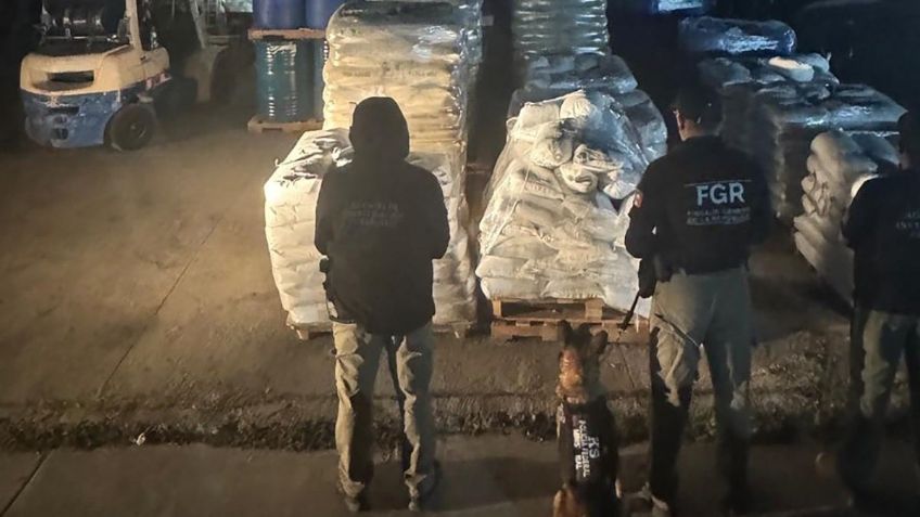 WhatsApp Image 2025-10-29 at 09.55.33