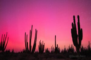 Imagen de WhatsApp 2025-11-14 a las 10.11.37_91759a7f